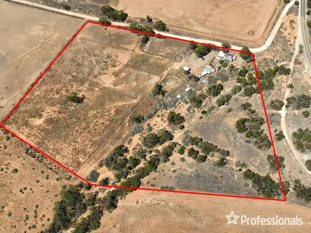 Bright  19 Acres - House, Sheds, Stables, Stallion Yard, Round Yard, Arena area.