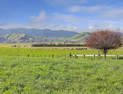 3074A Cambridge Road, Cambridge, Waipa, 0房, 0浴, 乡村住宅建地