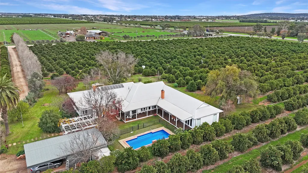 Yoogali Premier Citrus Enterprise with Exceptional Lifestyle and Income Potential