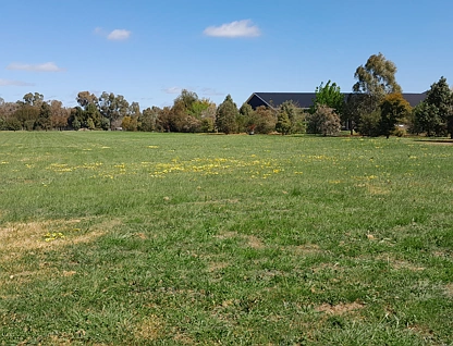 Lot 1 - 3313 Barooga-Tocumwal Road, Barooga, Murray, 0部屋, 0バスルーム, Section