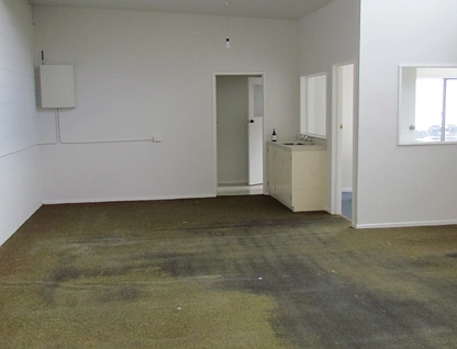 24B Domain Street, Palmerston North Central, Palmerston North City, 0 ਕਮਰੇ, 0 ਬਾਥਰੂਮ, Industrial Premises