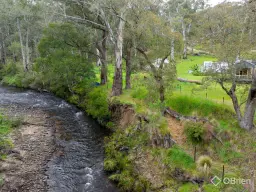 234 Timbarra Settlement Road, Buchan