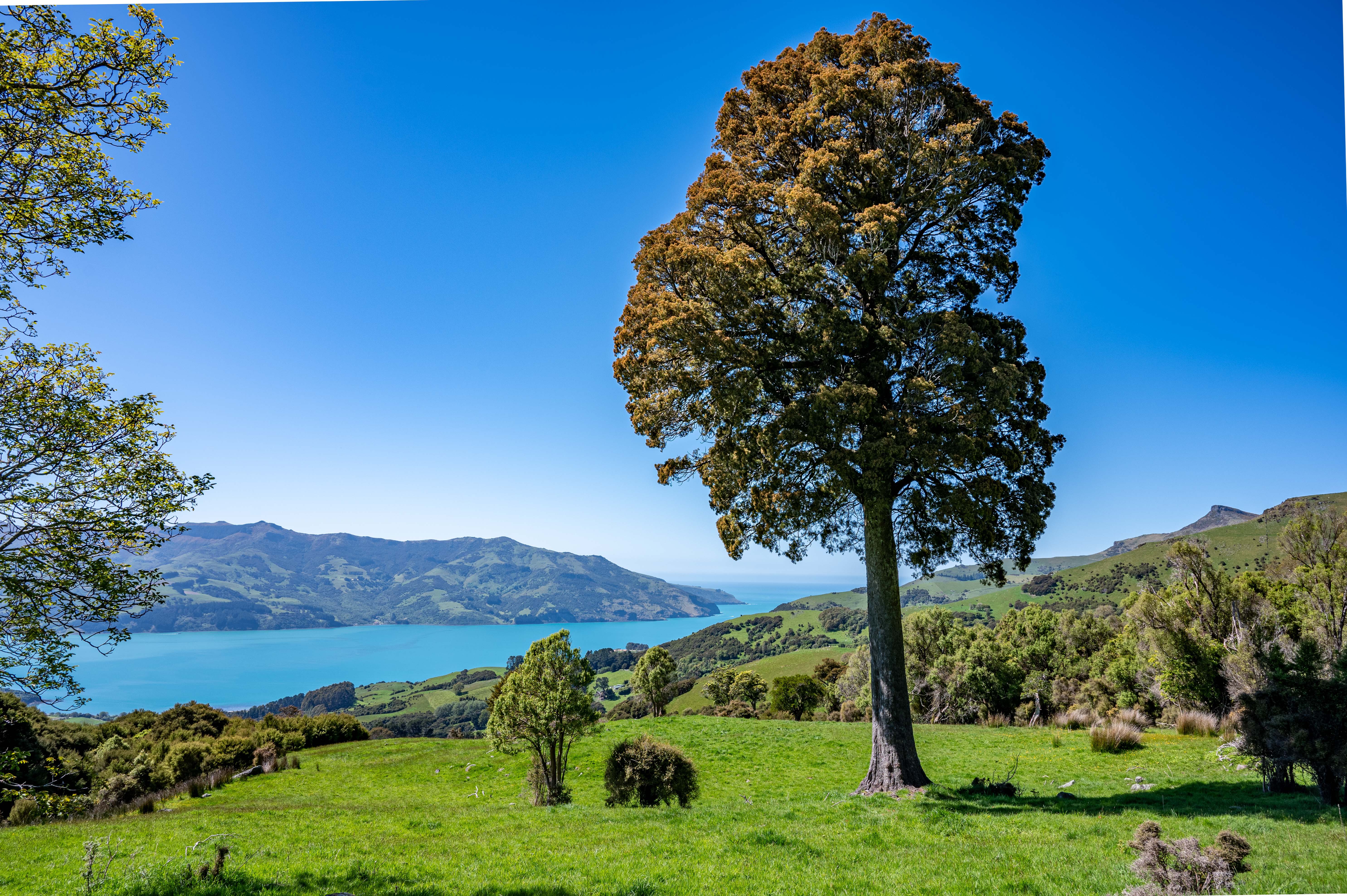 Rural Banks Peninsula