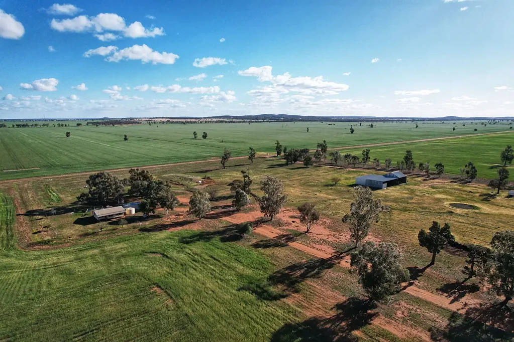 Condobolin Efficient Red Loam Farming