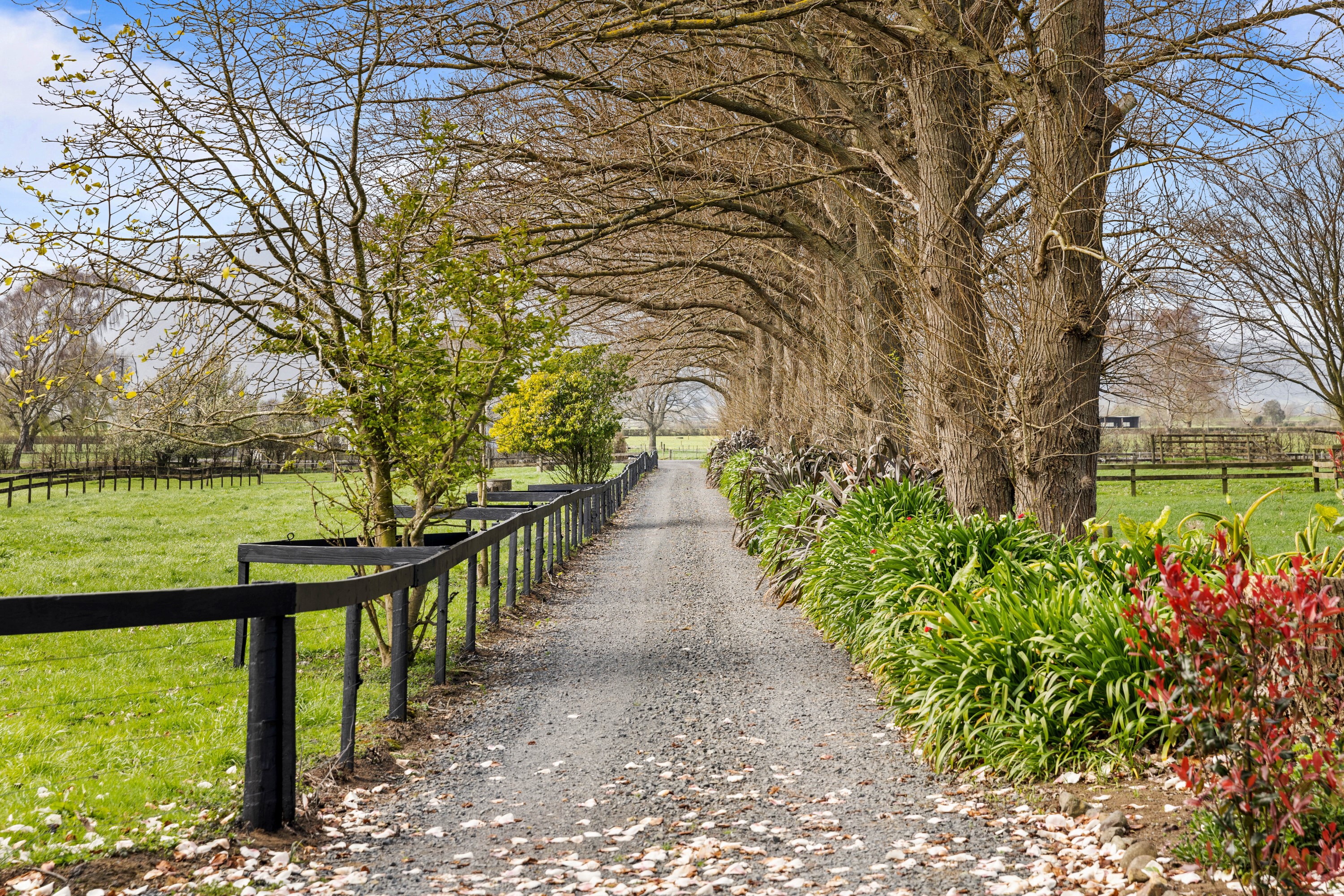 88 Seddon Road, Waitoa, Matamata, 4 habitaciones, 4 baños, Lifestyle Property