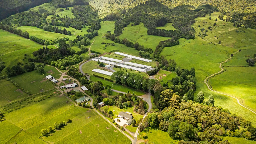 Te Aroha Investor opportunity - proven agricultural income