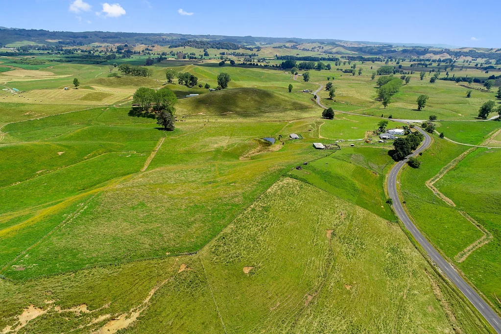 Te Kuiti Treasure on Tikitiki