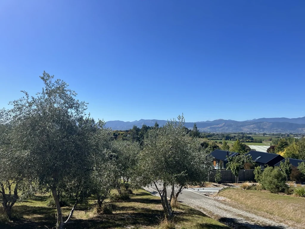 Redwood Valley Ready to own, ready to build
