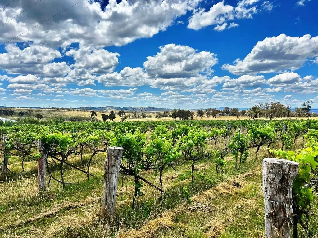 Uralla UNIQUE OPPORTUNITY TO OBTAIN A RENOWNED BUSINESS & RESIDENCE