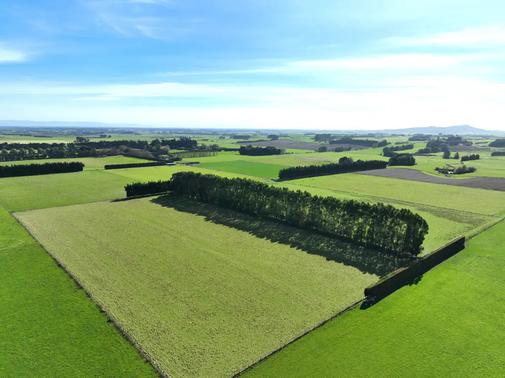 Winton Surrounds Highly Productive Local Addition