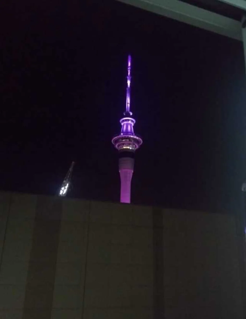 Auckland Central 3Kwarto Experience the Harvard lifestyle!