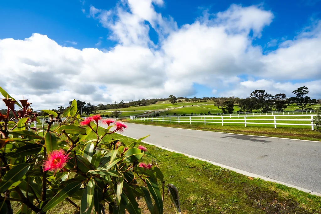 Kalgan PRICES REDUCED! Stage 2, Grandview Heights Estate