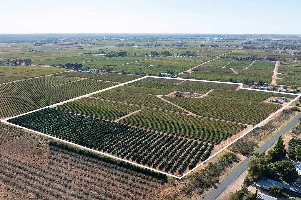 Loxton Horticulturual Land Holding