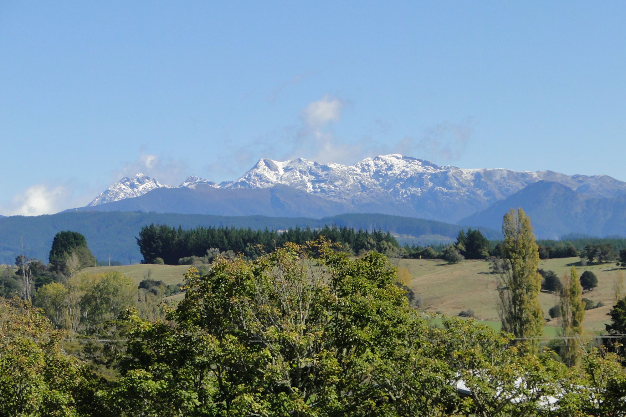 Moutere Highway, Upper Moutere, Tasman, 0 غرف, 1 حمامات