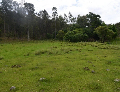 Lot 751 Smiths Creek Road, Upper Copmanhurst, North Coast, 0 Bedrooms, 0 Bathrooms, Lifestyle Property