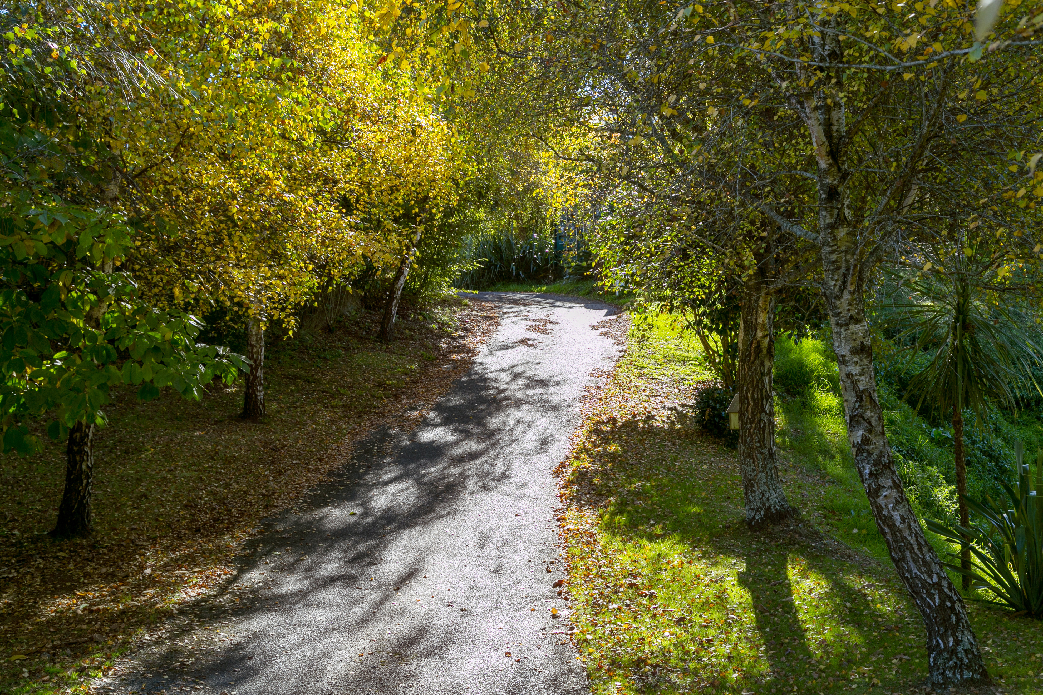 49 Huka Falls Road, Rangatira Park, Taupo, 3 phòng ngủ, 0 phòng tắm, House