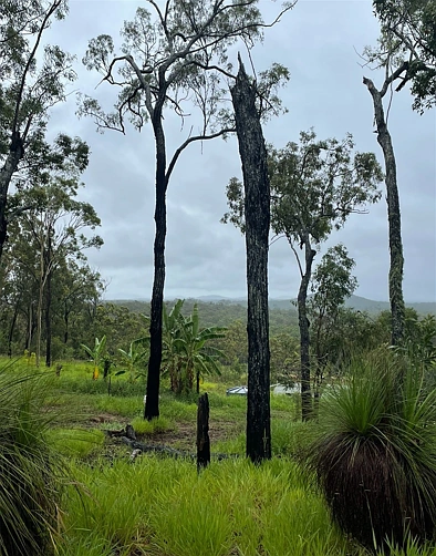939 Pacific Drive, Deepwater, QLD 4674, 0 Bedrooms, 0 Bathrooms, Lifestyle Property