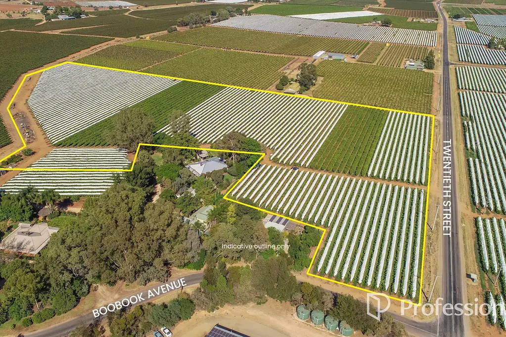 Cardross Pruning Done for the Season - Watch Me Grow!
