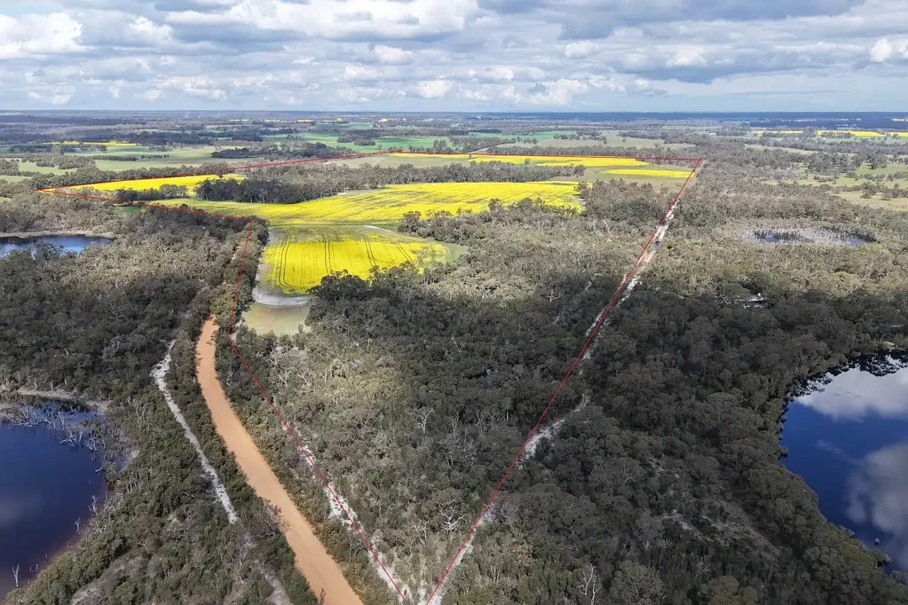 Forest Hill  Versatile Rural Property – Lifestyle & Farming Potential