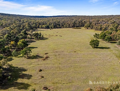 CA 3a & 3b Pittong - Snake Valley Road, Snake Valley, Ballarat, 0 Bedrooms, 0 Bathrooms, Section