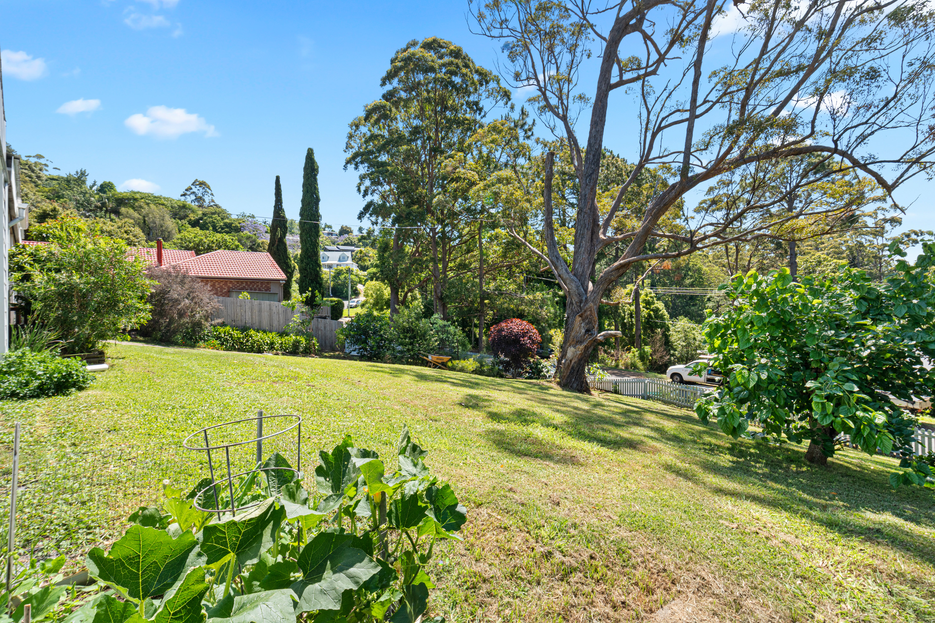 6 KALMIA CT, TAMBORINE MOUNTAIN QLD 4272, 0 غرف, 0 حمامات, House