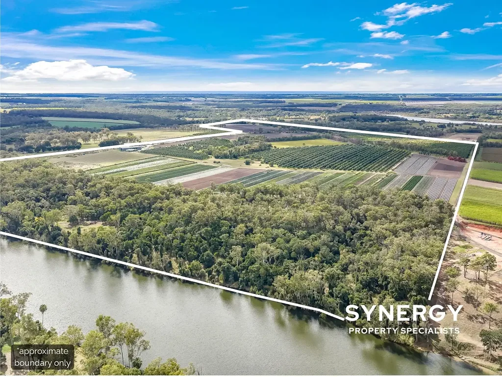Moorland Certified Organic Macadamia and vegetable Enterprise | Prime Riverfront Farmland | Turnkey Income-Producing Investment