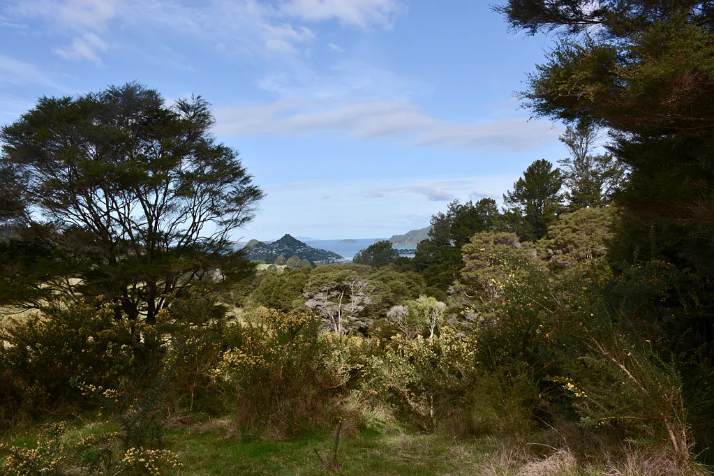 Tairua Escape to the country