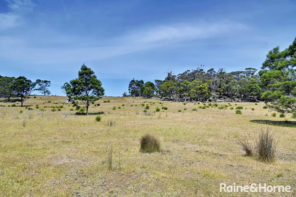 Little Swanport Spectacular Views, 4HA Building Envelope Wildlife Reserve