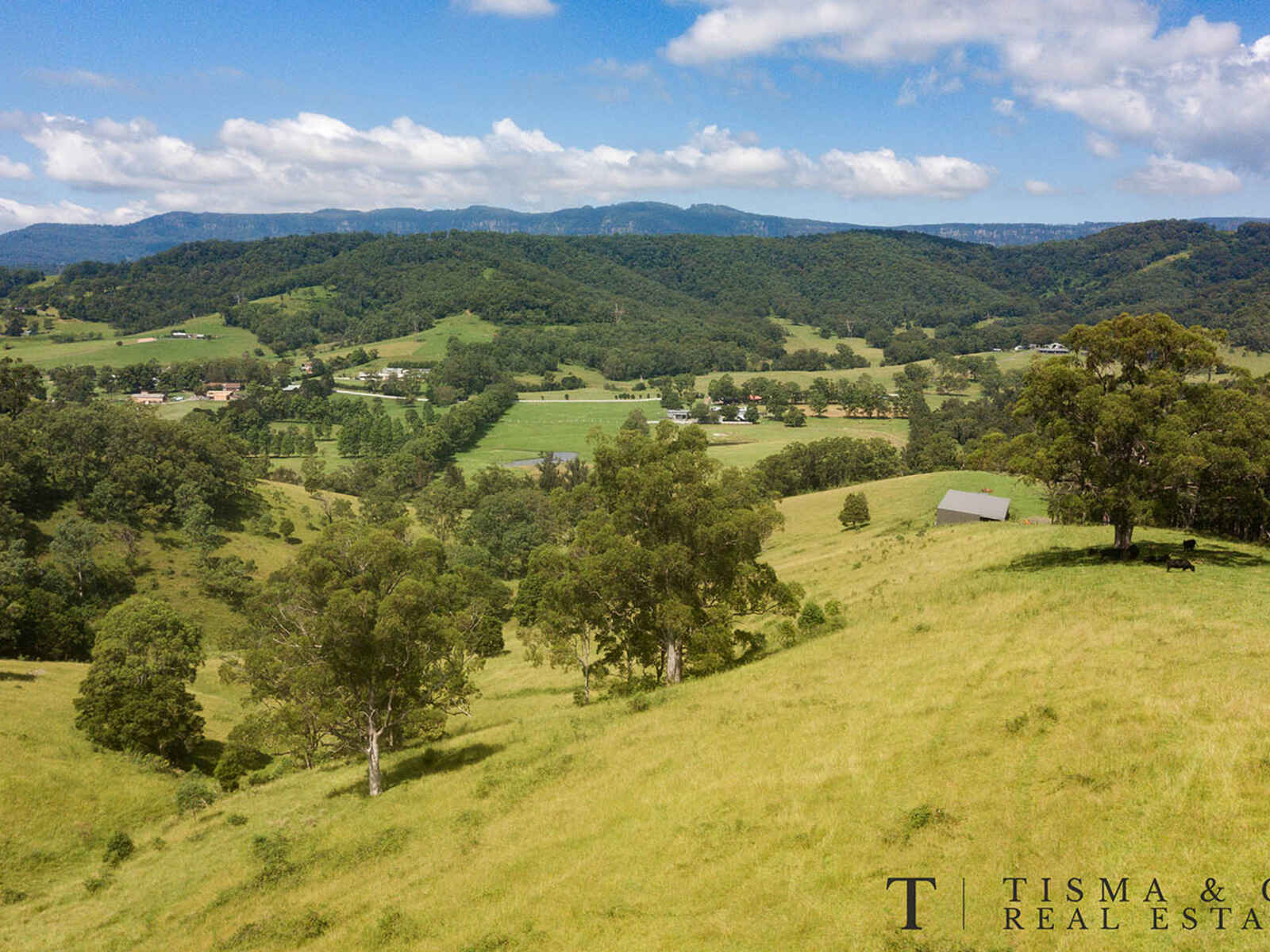 259 NORTH MARSHALL MOUNT RD, MARSHALL MOUNT NSW 2530, 0 rūma, 0 rūma horoi, Lifestyle Property