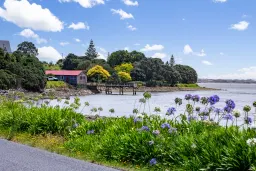 15 Tuakau Bridge-Port Waikato Road, Port Waikato