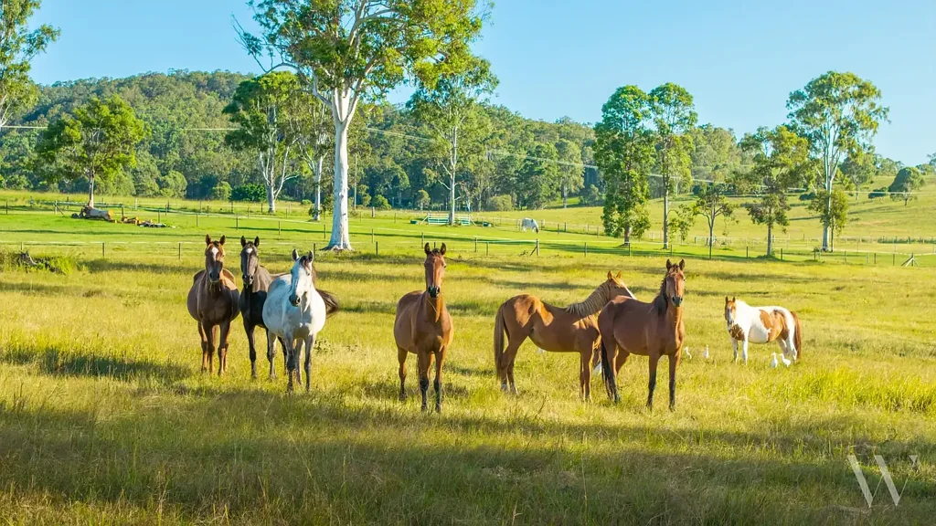 Wolvi 4房  HORSES, FARMING & YOUR OWN RURAL RETREAT!