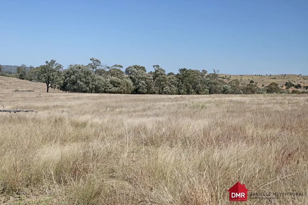 Mundubbera Quality Cattle Creek Scrub Country