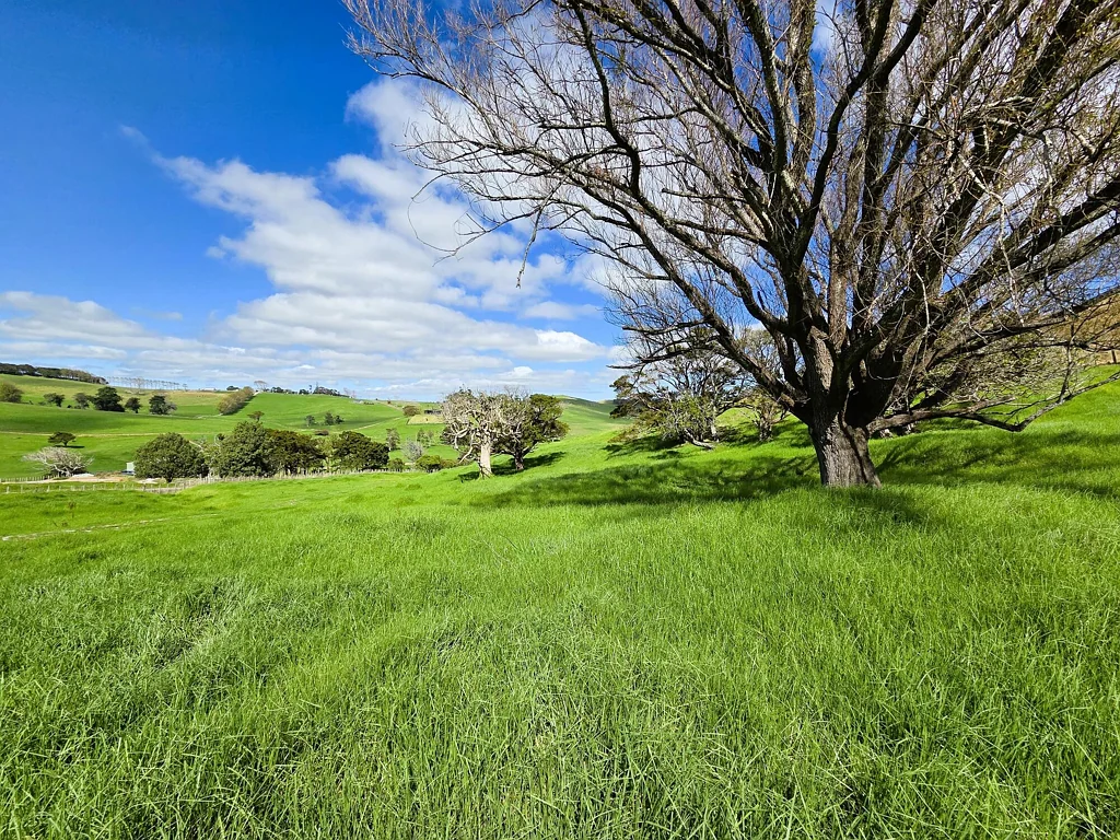 Dargaville Arapohue Lifestyle Opportunity With Stunning Views