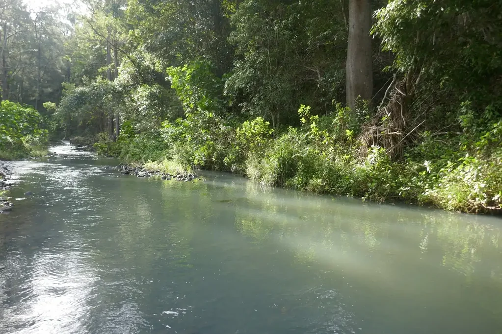Kyogle 1.4km's OF PRISTINE CREEK FRONTAGE