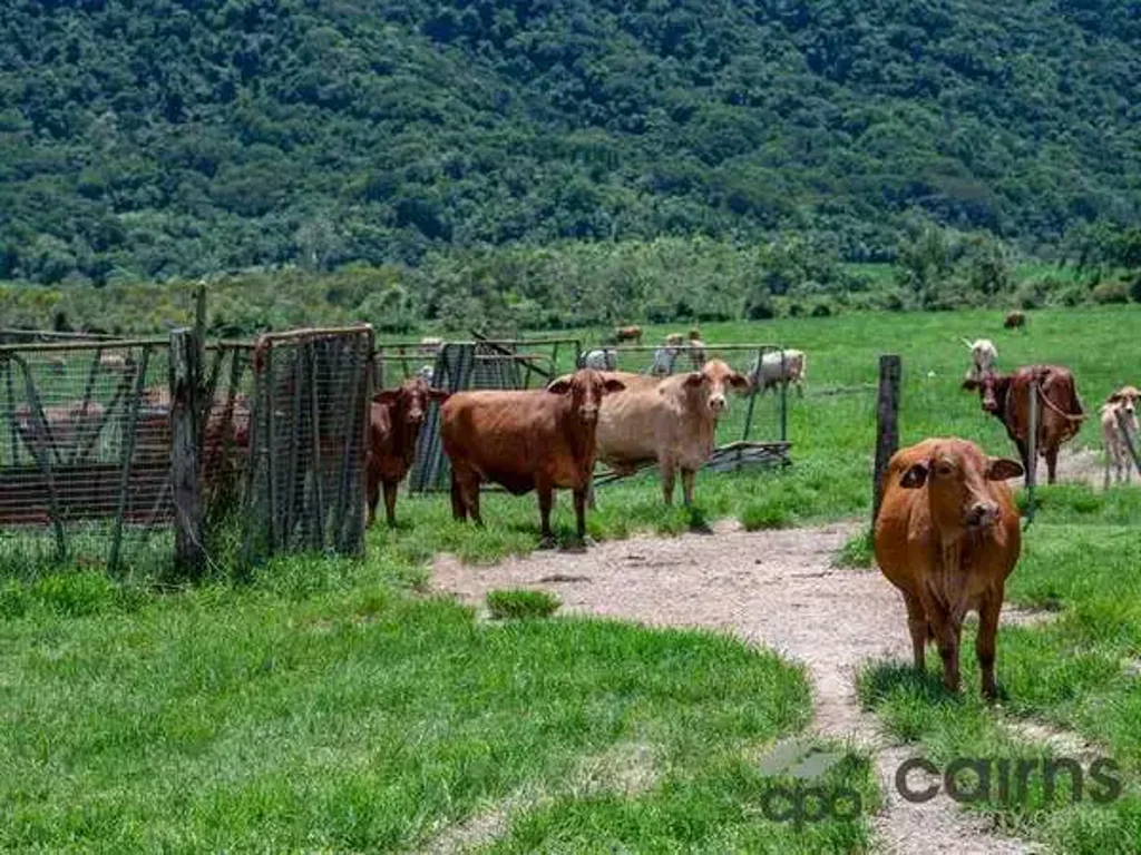 Mourilyan Harbour  Approx 159.7 Acres, Multiple Uses, Picturesque Country, in FNQ