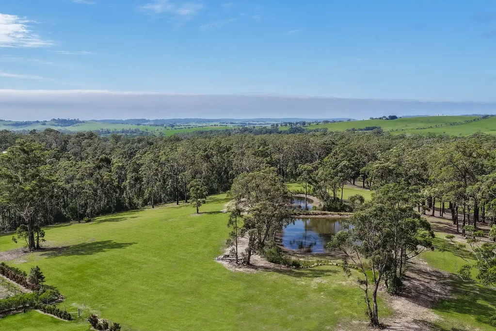 Little Forest  Pristine Nature Escape on 17 Acres