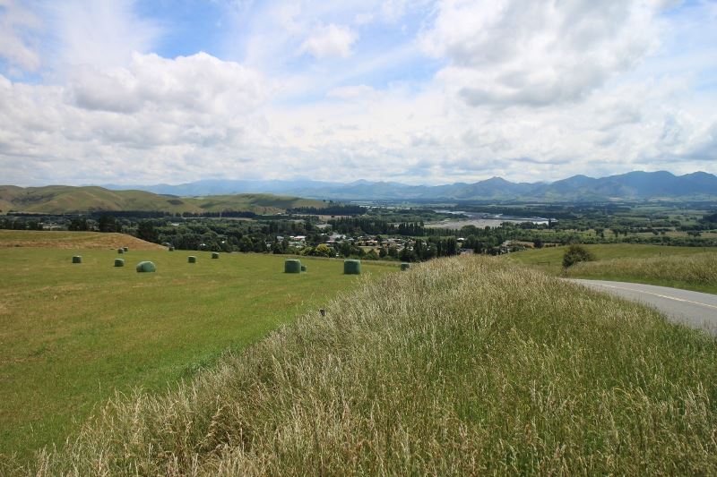 5 Mendip Street, Waiau, Hurunui, 3 રૂમ, 0 બાથરૂમ