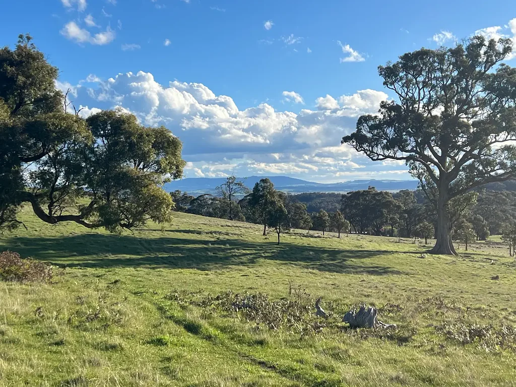 Goldie 48.1 ha (119 Acres) with Planning Permit