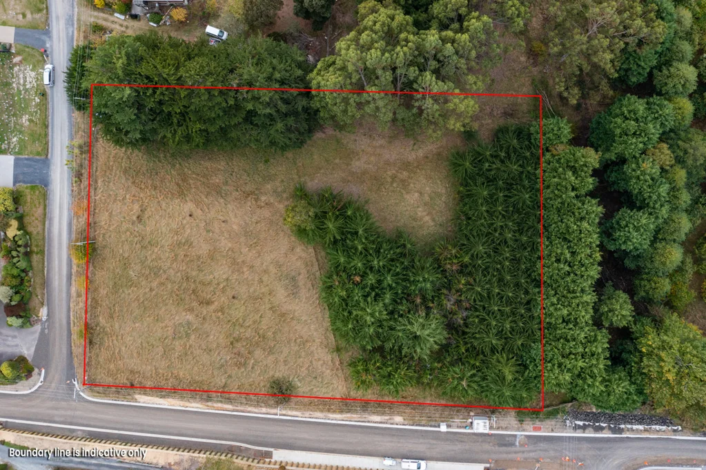 Waihola  Huge 6,072sqm Section  Now Seriously for Sale!
