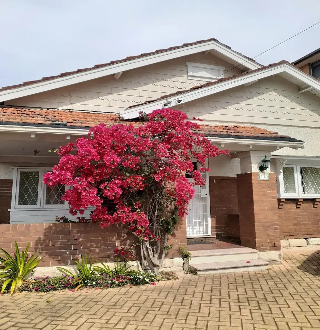 Earlwood 4 Bedroom Crafsman house