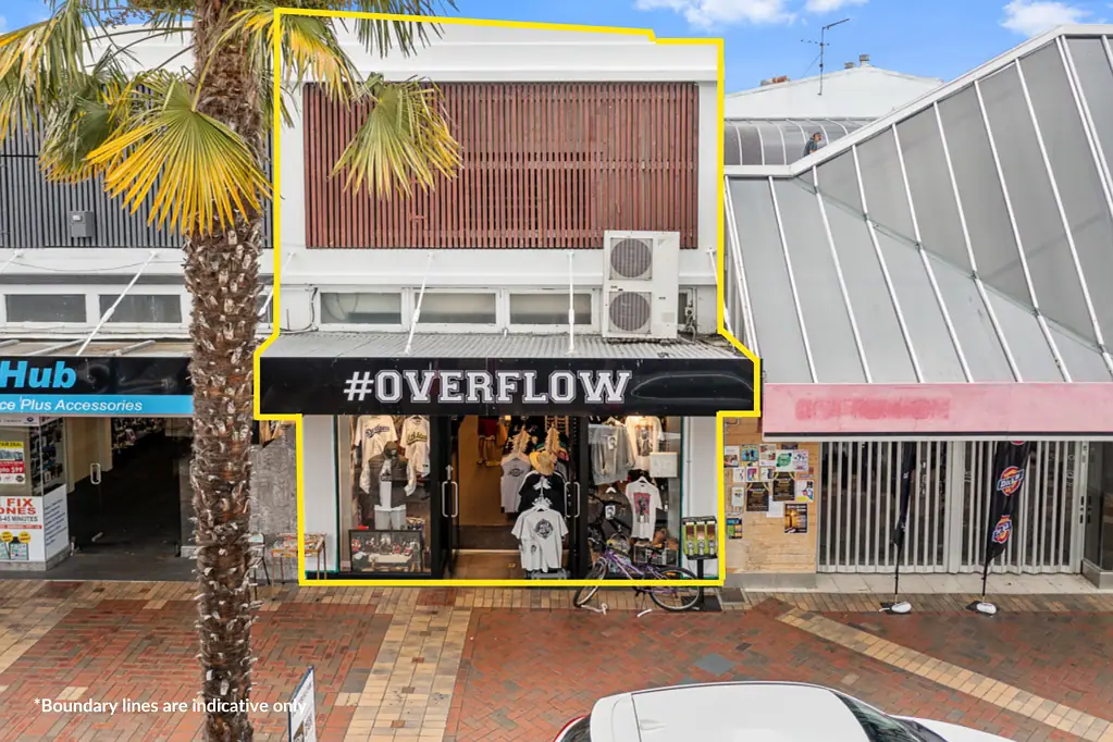 Blenheim Central  CBD Commercial Investment!