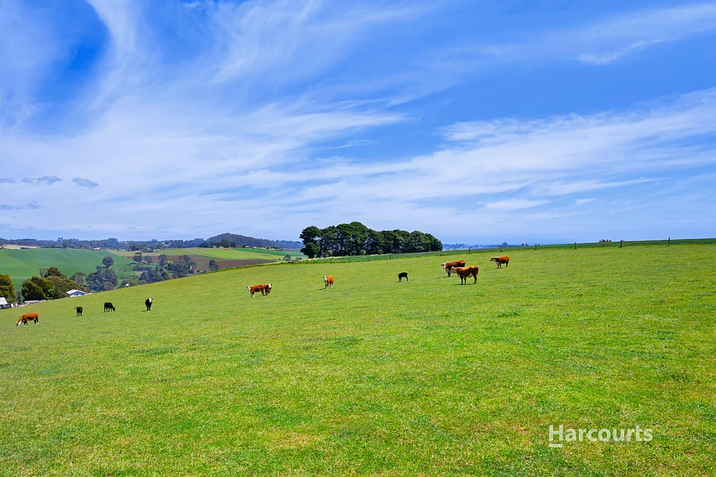 Stowport Prime Farming Opportunity Awaits - 30 Acres of Rural Bliss