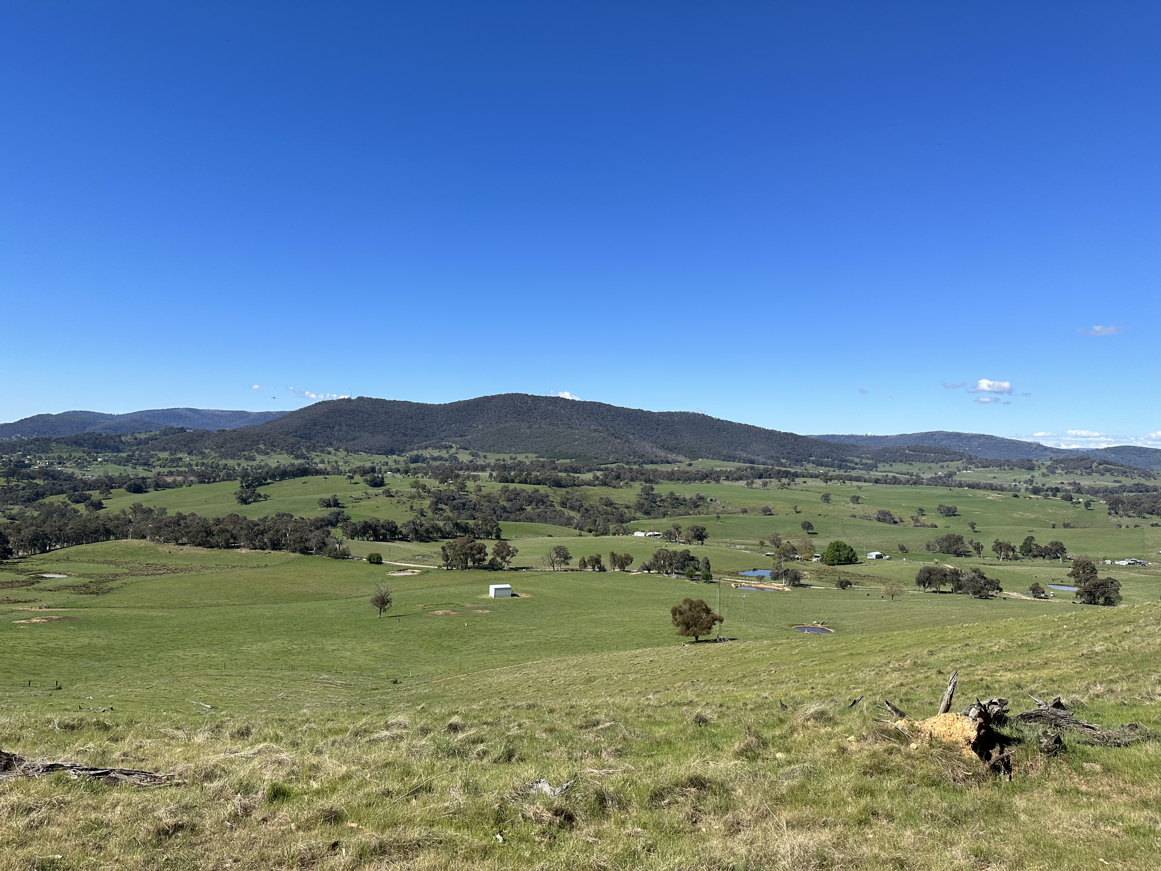 53 MCCLELLANDS LANE, TUMBARUMBA NSW 2653, 0房, 0浴, Lifestyle Property