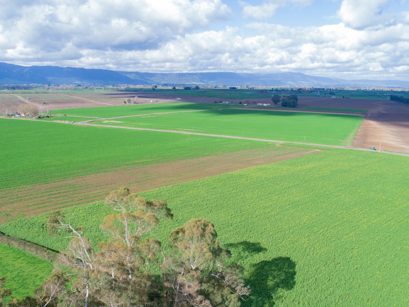 1310 Alexandra Road, Waharoa, Matamata, 0 habitaciones, 0 baños