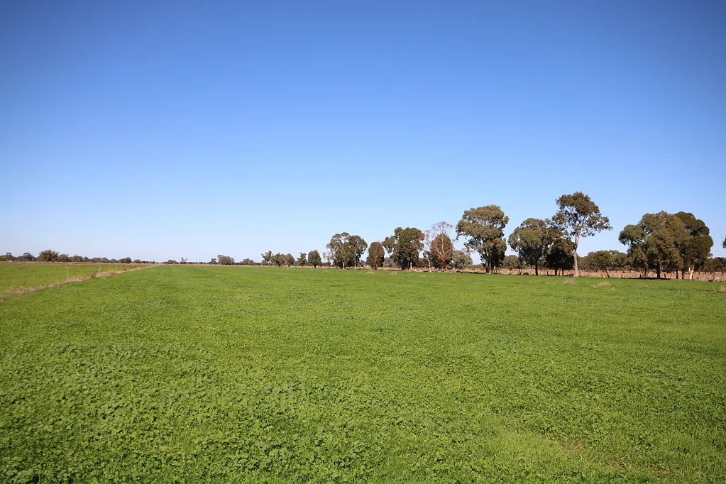 Lockington 215-ACRES WITH DUAL RESIDENCES AND DAIRY INFRASTRUCTURE