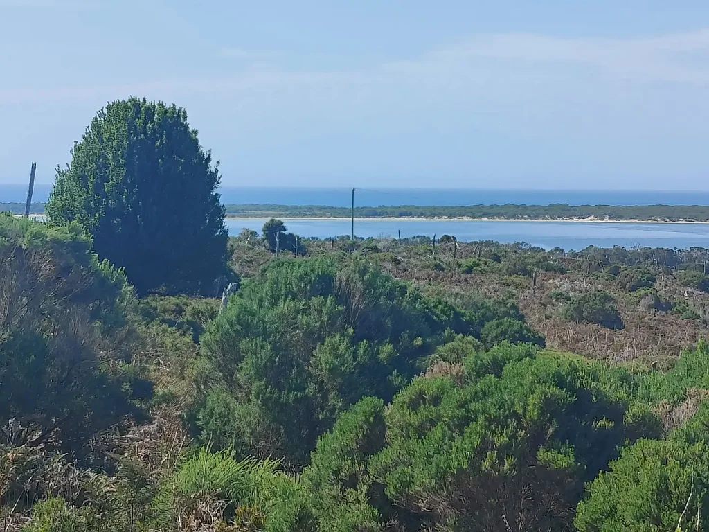 Palana Exceptional North East River Land Offering - 10 Hectares with Views