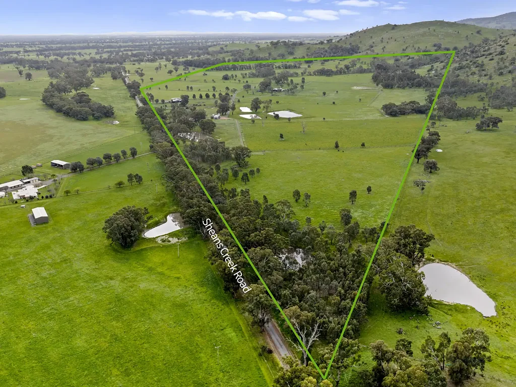 Euroa Premier Equine Holding in the Strathbogie Ranges - Glenelg Park