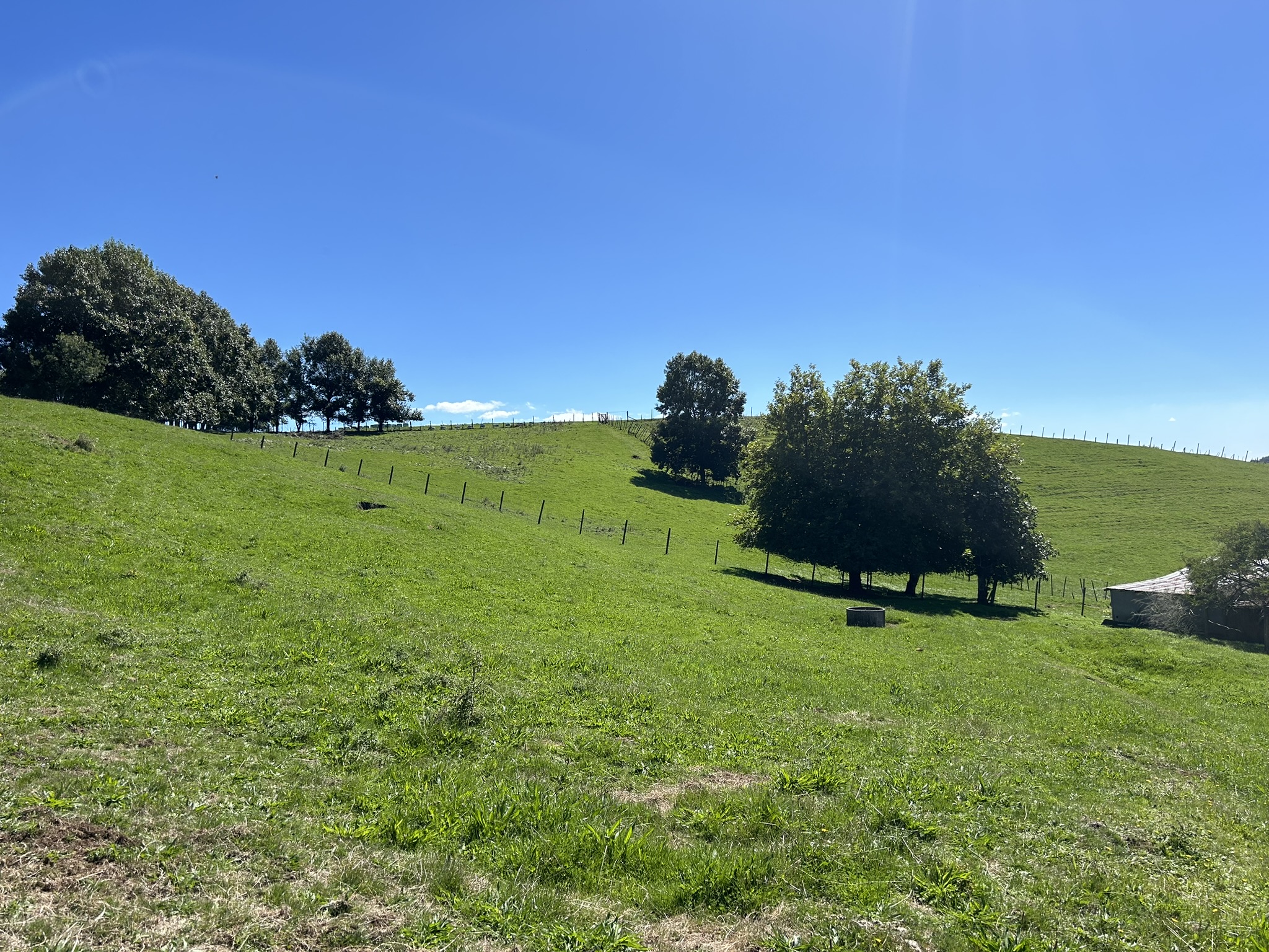 481 Honikiwi Road, Otorohanga, Otorohanga, 0 phòng ngủ, 1 phòng tắm, Bare Land