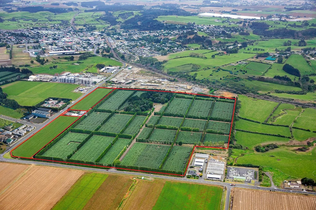 Tuakau For sale 31.5ha Industrial land across two titles