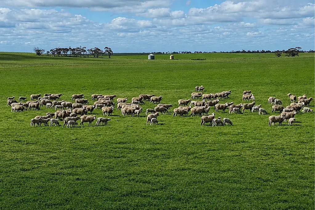Nildottie  Nildottie - Cropping - Grazing Land